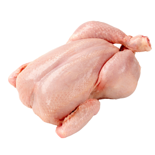 Pollo Saresan Gourmet
